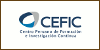 Centro Peruano de Formación e Investigación Continua - CEFIC