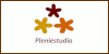 Pleniestudio, Centro Integral de Formación