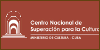 Centro Nacional de Superación para la Cultura