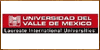 Universidad del Valle de México